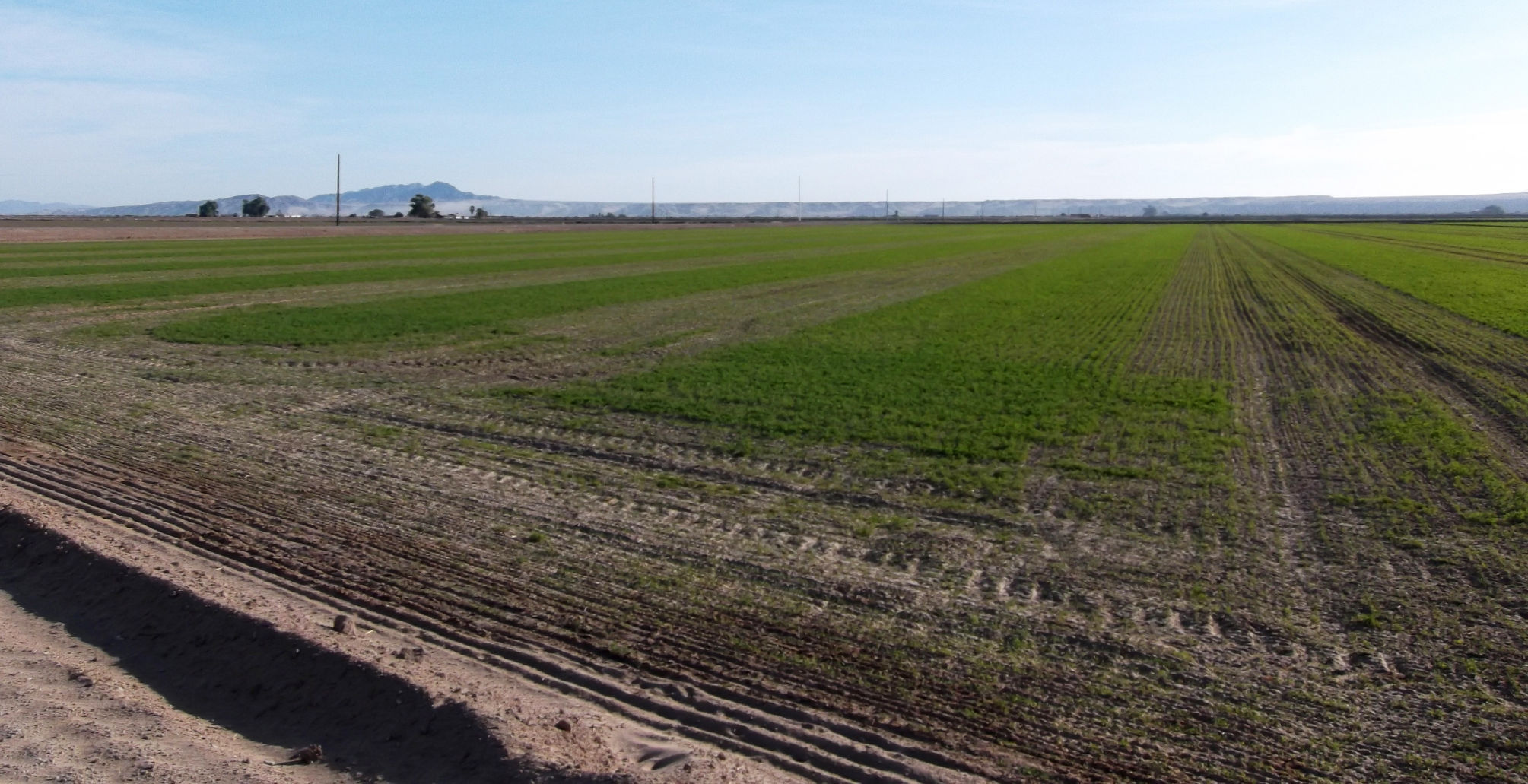 Water use / Colorado River Indian Tribes